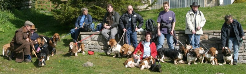 Axbridge bassets