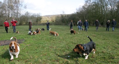 Axbridge walk