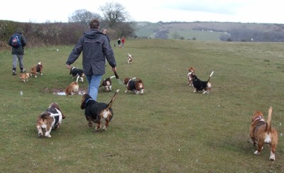 Snow on Mendips