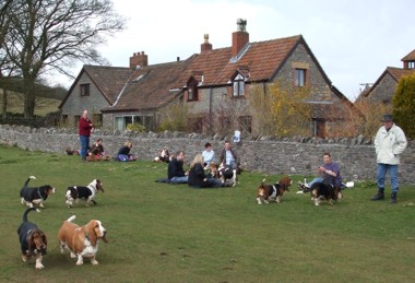 Hill Farm, Mendips