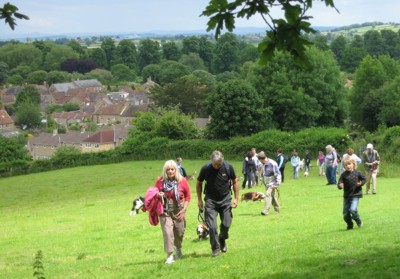 Above Montacute