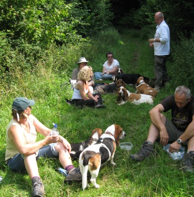 Basset lunch