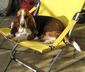 Matilda in deck-chair