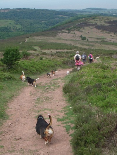 Quantocks