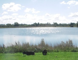 Lake