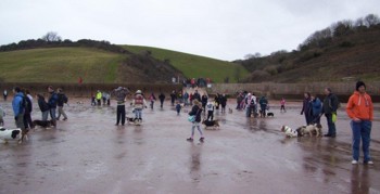 Crowded beach