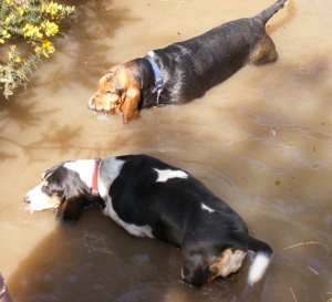 Maude and Jessica