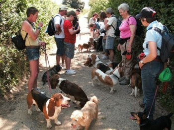 Otterton walk