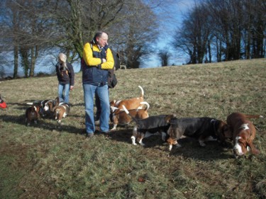 Wansdyke walk