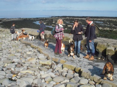 E Quantoxhead beach