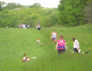 Long grass