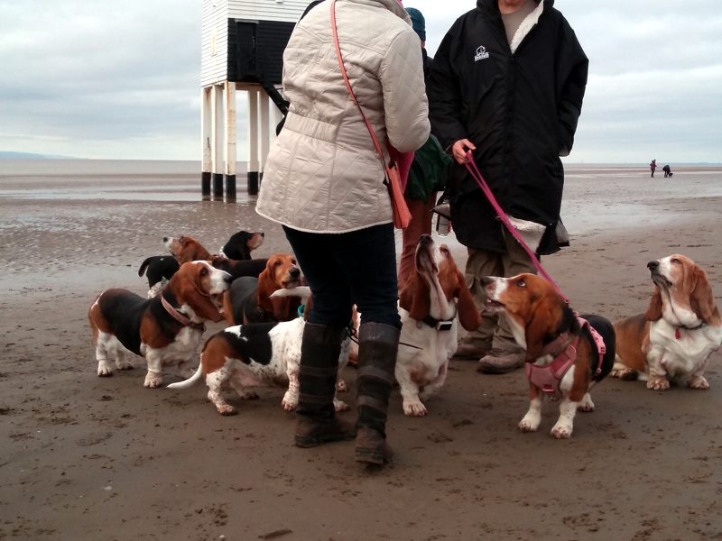 Bassets lighthouse