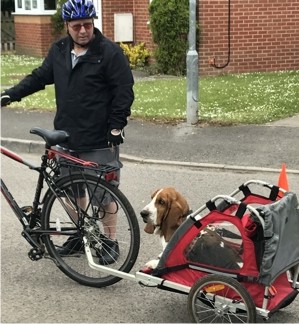 Basset bike carrier