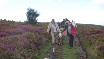 Quantocks